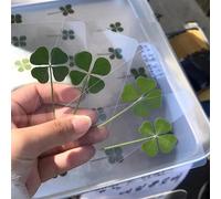 1/4/12 pezzi Carte con quadrifoglio portafortuna, realizzate in materiale trasparente, adatte per compleanni e matrimoni, con decorazioni in stile irlandese con segnalibri, bomboniere e motivi realist