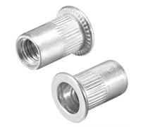 1/4-20 Rivetto Dadi Zigrinato Piatto Testa Filettato Inserto Dado Argento 100pz