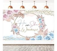 1.5x1m Sfondo gender reveal rosa o blu fiore erba della pampa He or She What Will Baby Be sfondo fotografico Rivelazione di genere partito torta decorazioni da tavolo Banner Photo Booth Props