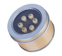 1/6Pcs Chitarra Ponte Selle Dado Chitarra Acustica Ponte Perni Sostituzione Stringa Pioli Accessori Chitarra