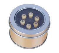 1/6pcs Guitar Bridge Suggini Nut Nut Pins Acustic Pins String PEG Musical Strumenti Parti Sostituzione Per Soprannominare Pagni Strumento PEG Parti Sostituzione E Accessori