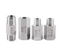 1/8" 1/4" 3/8" 1/2" 3/4" 1" BSP NPT Femmina Maschio Esagonale Valvola di ritegno unidirezionale Non ritorno In linea Acciaio inossidabile 304(1/8",Female To Male BSP)
