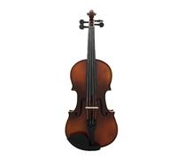 1/8 Violino In Legno Di Acero Violino Per Principianti Con Poggiaspalla Corde Per Scatola Panno Per Pulizia Adesivo Per Maniglia Set Di Parti Per Altoparlante