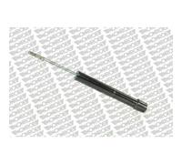 1 Ammortizzatore Monroe G7085