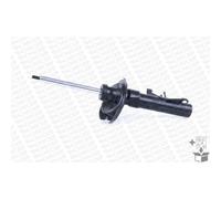 1 Ammortizzatore Monroe G8804