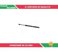 1 AMMORTIZZATORE PORTELLONE ASHIKA ZSA01005