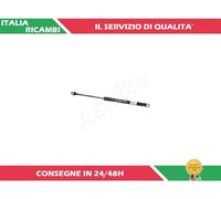 1 AMMORTIZZATORE PORTELLONE ASHIKA ZSA01012