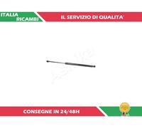 1 AMMORTIZZATORE PORTELLONE ASHIKA ZSA01044