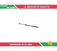 1 AMMORTIZZATORE PORTELLONE ASHIKA ZSA03050