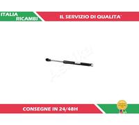 1 AMMORTIZZATORE PORTELLONE ASHIKA ZSA05026