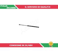 1 AMMORTIZZATORE PORTELLONE ASHIKA ZSA06093