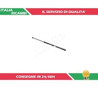 1 AMMORTIZZATORE PORTELLONE ASHIKA ZSA09019