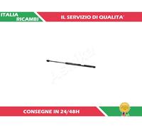 1 AMMORTIZZATORE PORTELLONE ASHIKA ZSA09118