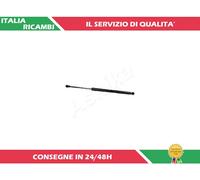 1 AMMORTIZZATORE PORTELLONE ASHIKA ZSA20002