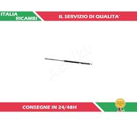 1 AMMORTIZZATORE PORTELLONE ASHIKA ZSA40015
