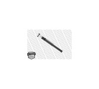 1 Ammortizzatore Posteriore di Sospensione Per Renault Laguna III 562100001R