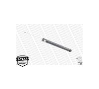 1 Ammortizzatore Sospensione Posteriore Per Ford C-Max II Focus III Grand MONROE