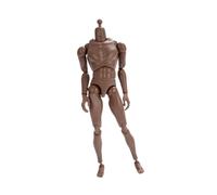 1: Azione maschile in scala 6 Figura da 25,5 cm Modello di schizzo del corpo