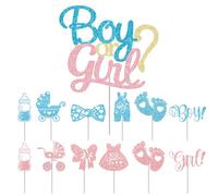 1 Biglietto Grande Per Rivelare Il Genere, 12 Biglietti Piccoli Per Torta, Toppers Per Torta, Decorazioni Per Feste Baby Shower