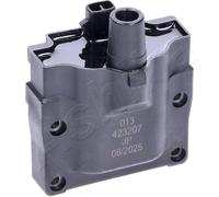 1 BOBINA D'ACCENSIONE ASHIKA 7800013 78-00-013