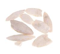 1 Borsa di Osso di Seppia, Osso di Seppia per Parrocchetti, Pappagallini E Canarini, Tartarughe, Tartarughe, Lumache E Tartarughe d'Acqua Dolce