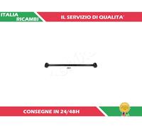 1 BRACCIO OSCILLANTE POSTERIORE ASHIKA 72-02-2020