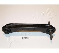 1 BRACCIO OSCILLANTE POSTERIORE DX ASHIKA 7105502R 71-05-502R