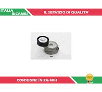1 BRACCIO TENDITORE CINGHIA POLY-V ASHIKA 128-05-506