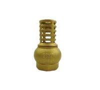 1" BSP Female Thread Brass Check Valve Strainer Filter Bottom Valve Foot Valve For Water Oil Pump