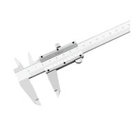 1 calibro a corsoio in acciaio 0-150 mm 0-200 mm 0-300 mm calibro a corsoio con vite di bloccaggio in acciaio inossidabile(0-300mm)