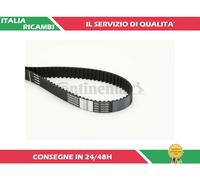 1 CINGHIA DISTRIBUZIONE CONTITECH CT1035