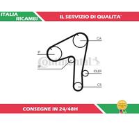 1 CINGHIA DISTRIBUZIONE CONTITECH CT1084