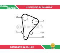 1 CINGHIA DISTRIBUZIONE CONTITECH CT521