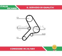 1 CINGHIA DISTRIBUZIONE CONTITECH CT617