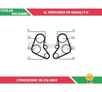 1 CINGHIA DISTRIBUZIONE CONTITECH CT886