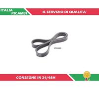 ASHIKA 112-5PK880 Cinghia Poly-V per SUBARU