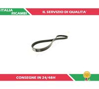 1 CINGHIA POLY-V ASHIKA 112-5PK885