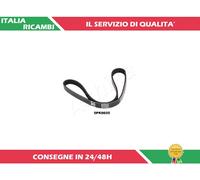 1 CINGHIA POLY-V ASHIKA 112-5PK895