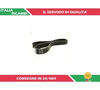 1 CINGHIA POLY-V ASHIKA 112-6PK1035