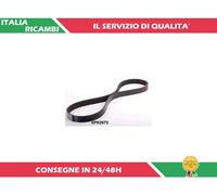 1 CINGHIA POLY-V ASHIKA 112-6PK970