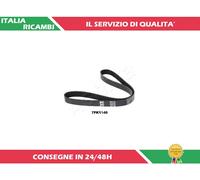 1 CINGHIA POLY-V ASHIKA 112-7PK1140