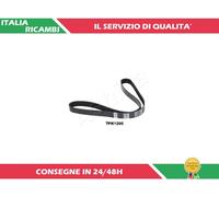 1 CINGHIA POLY-V ASHIKA 112-7PK1295