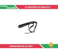 1 CINGHIA POLY-V ASHIKA 112-7PK1720
