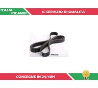 1 CINGHIA POLY-V ASHIKA 112-7PK1770