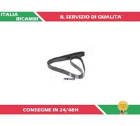 1 CINGHIA POLY-V ASHIKA 112-7PK1835