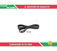 1 CINGHIA POLY-V ASHIKA 112-8PK1230