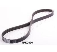 1 CINGHIA POLY-V ASHIKA 1124PK830 112-4PK830