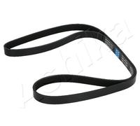 1 CINGHIA POLY-V ASHIKA 1126PK1600 112-6PK1600