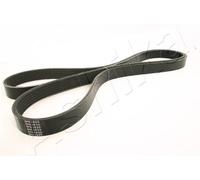 1 CINGHIA POLY-V ASHIKA 1126PK1830 112-6PK1830