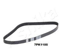 1 CINGHIA POLY-V ASHIKA 1127PK1100 112-7PK1100